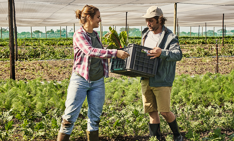 Agricultural Loan